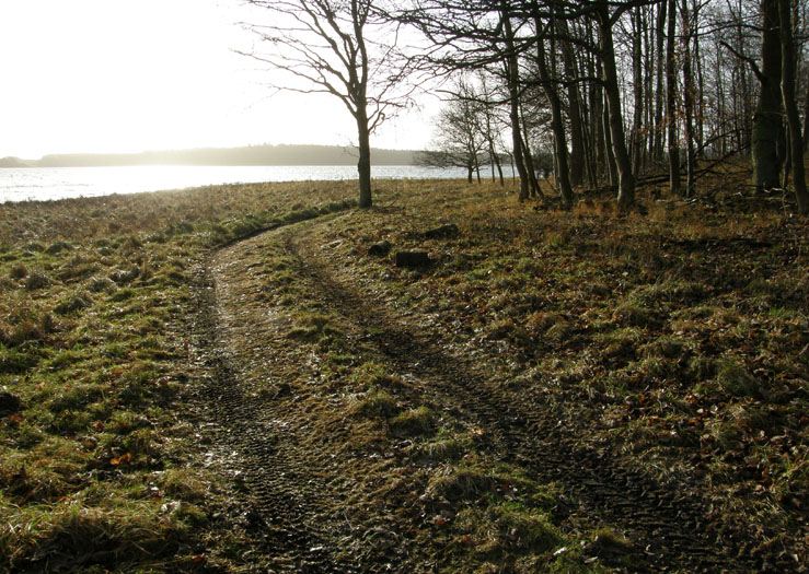 Bognæs, Roskilde Fjord