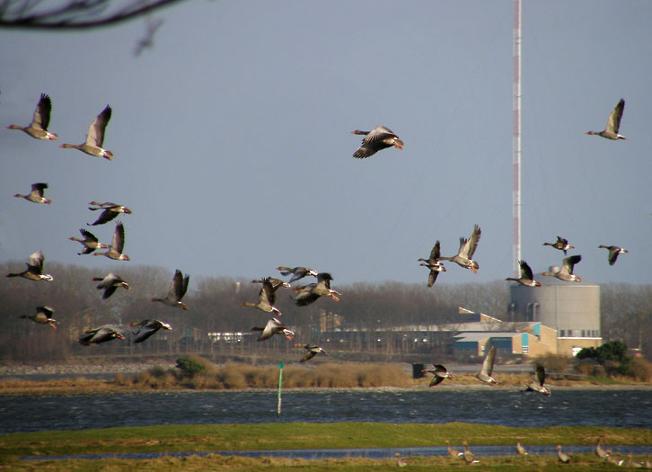 Atomforsøgsstationen Risø