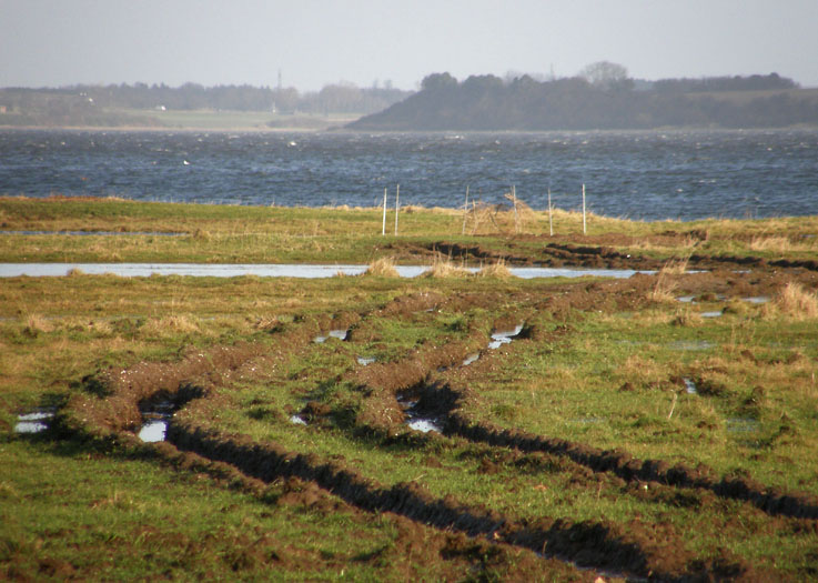 Bognæs, Roskilde Fjord