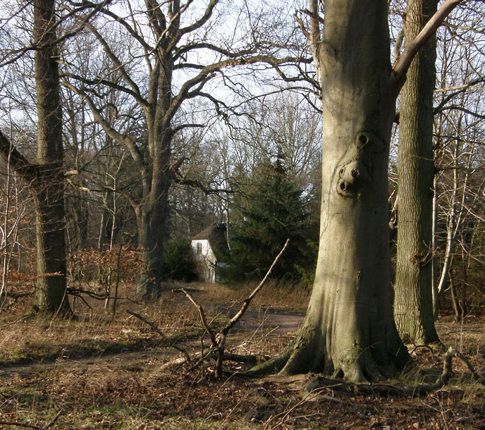 Bognæs, Roskilde Fjord