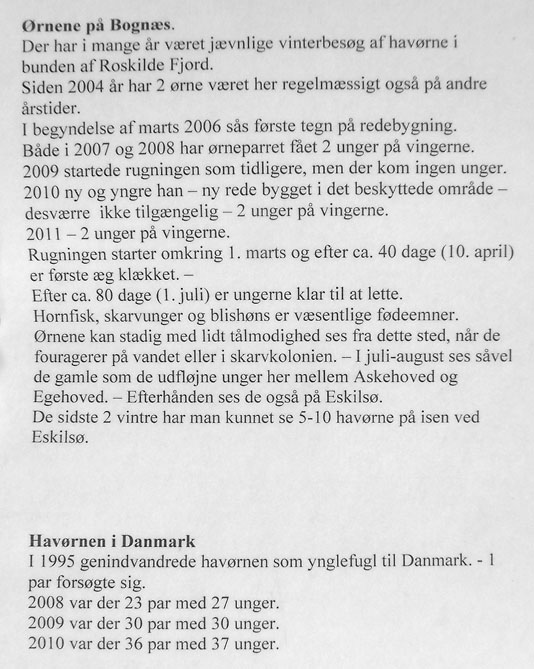 Ørnene på Bognæs