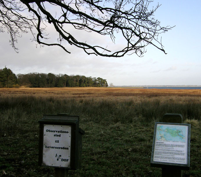 Bognæs, Roskilde Fjord