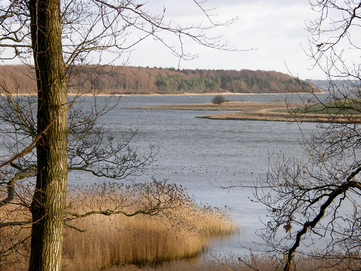 Bognæs, Roskilde Fjord