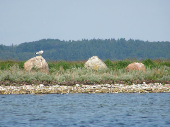 Isefjorden