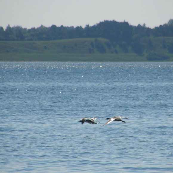 Isefjorden