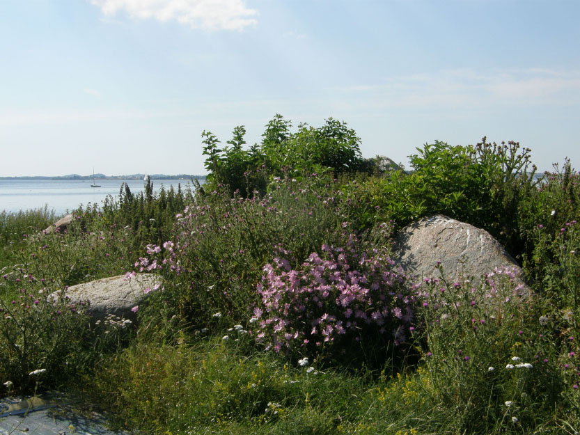 Isefjorden