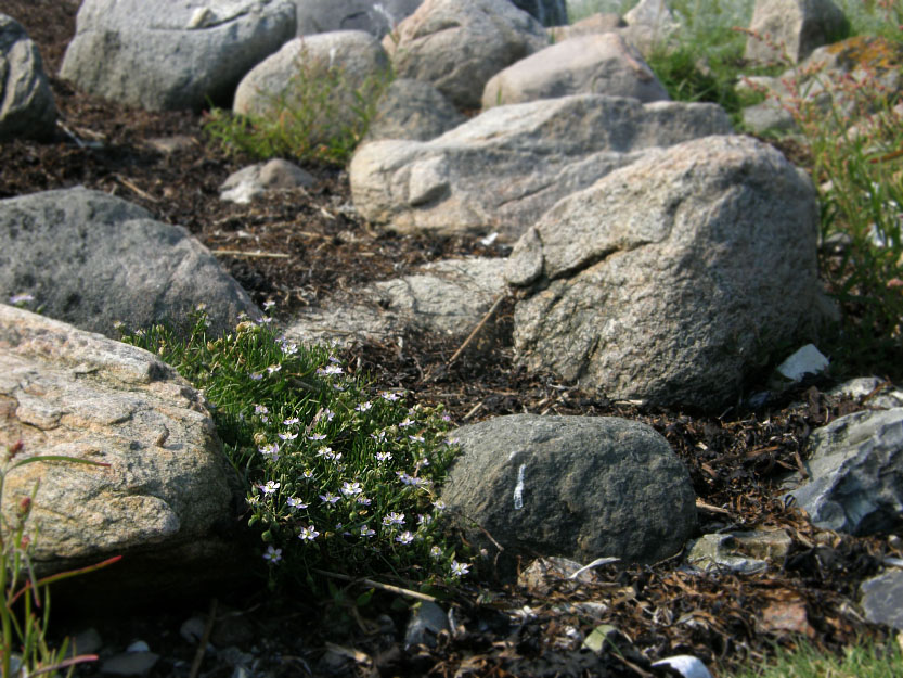 Isefjorden