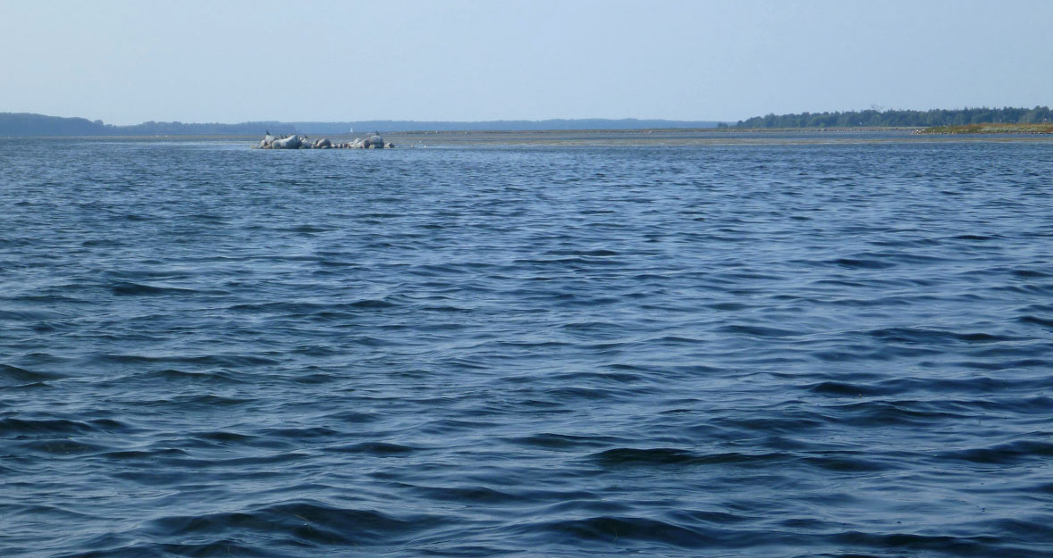 Isefjorden