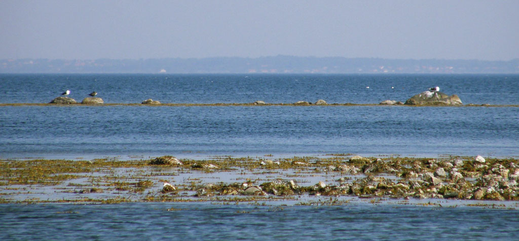 Isefjorden