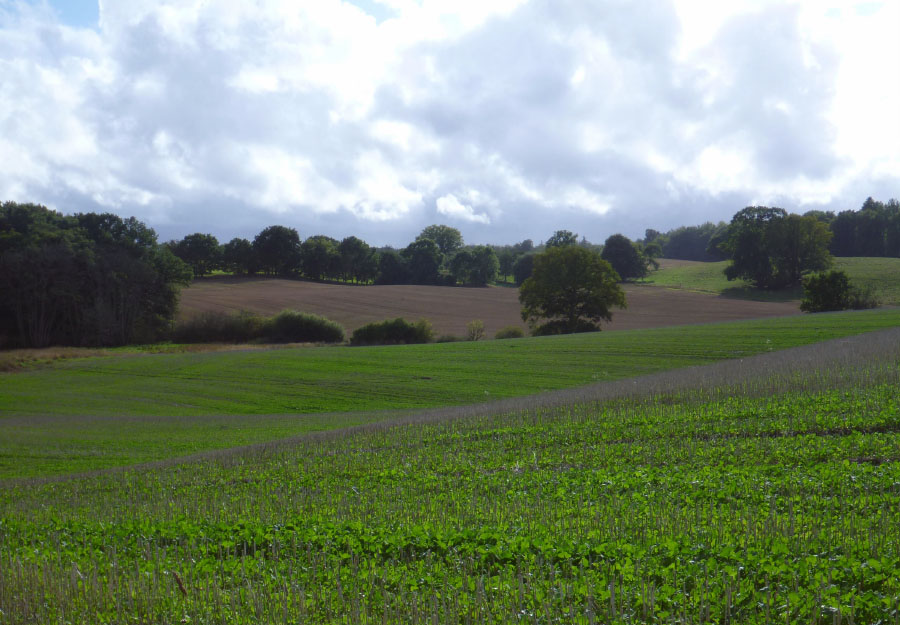 Vandring Lejre-Ringsted