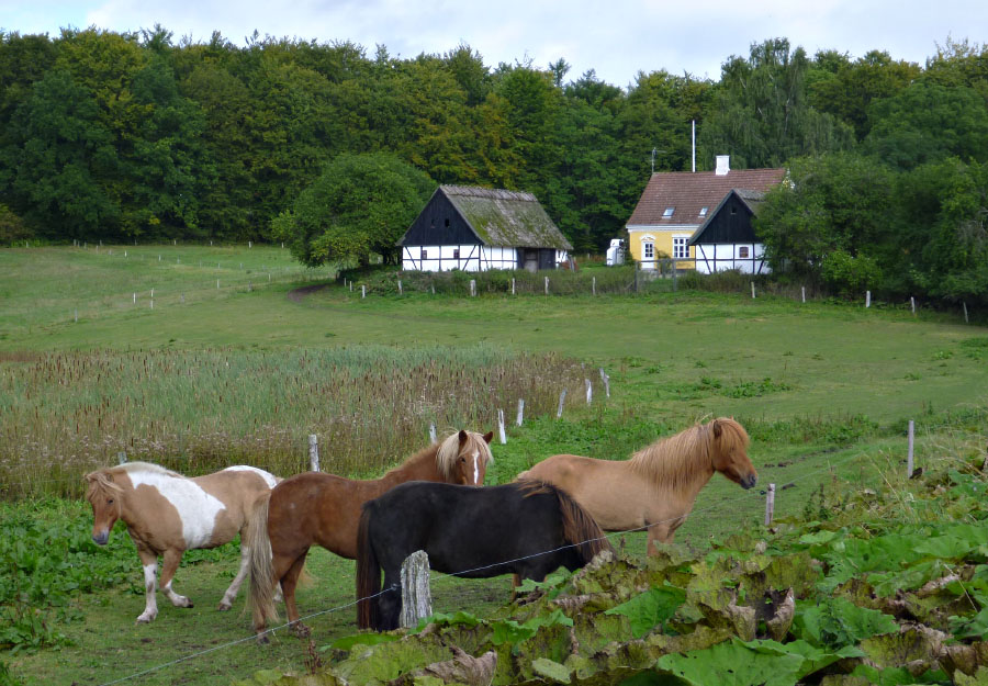 Vandring Lejre-Ringsted