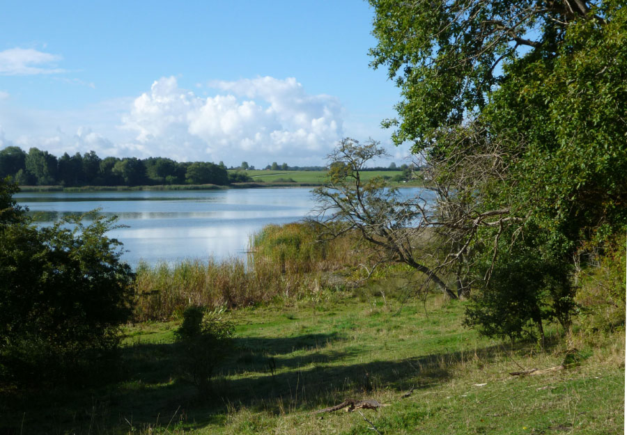 Vandring Lejre-Ringsted