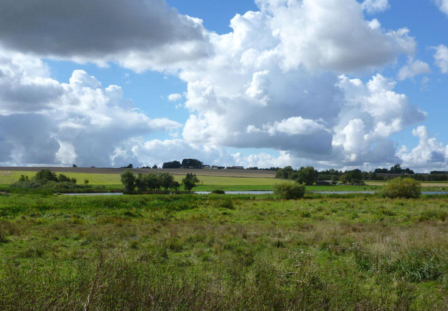 Vandring Lejre-Ringsted