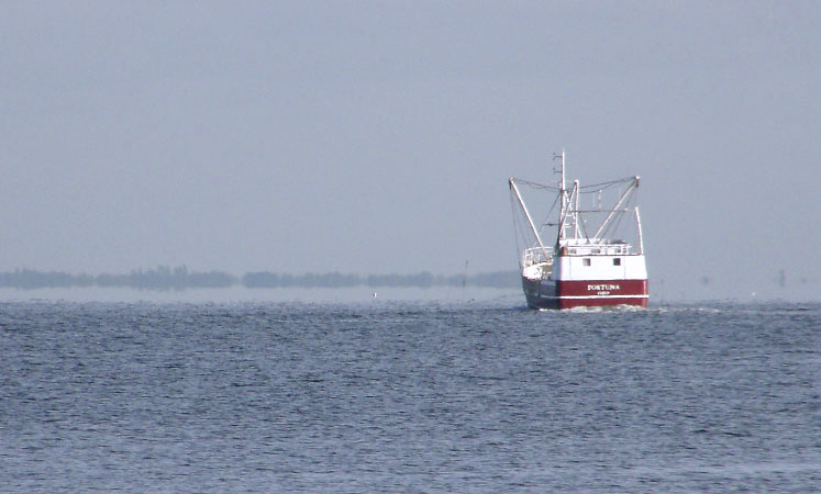 Danmark, Isefjord