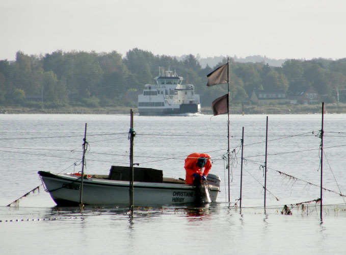 Danmark, Isefjord