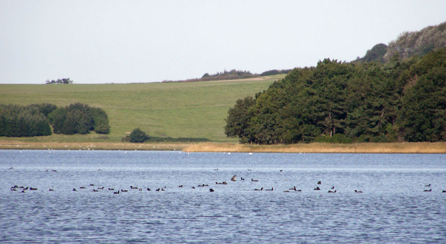 Danmark, Isefjord