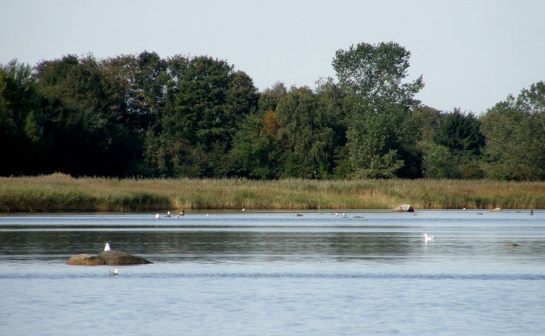 Danmark, Isefjord