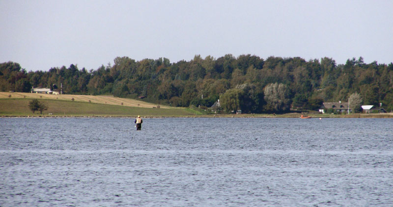 Danmark, Isefjord