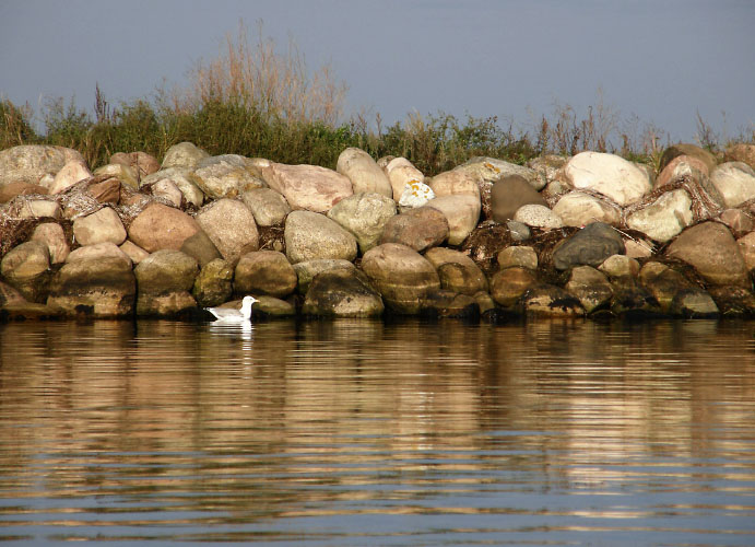 Danmark, Isefjord