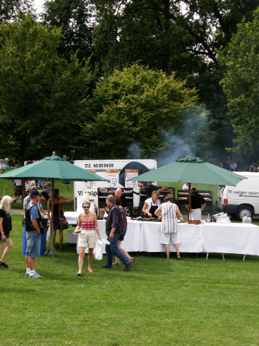 Spillemandsstævne i Roskilde 2009