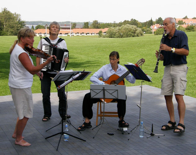 Spillemandsstævne i Roskilde 2009