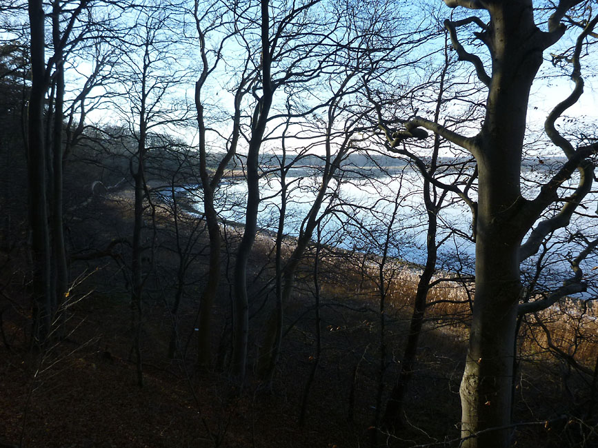 Tempelkrogen