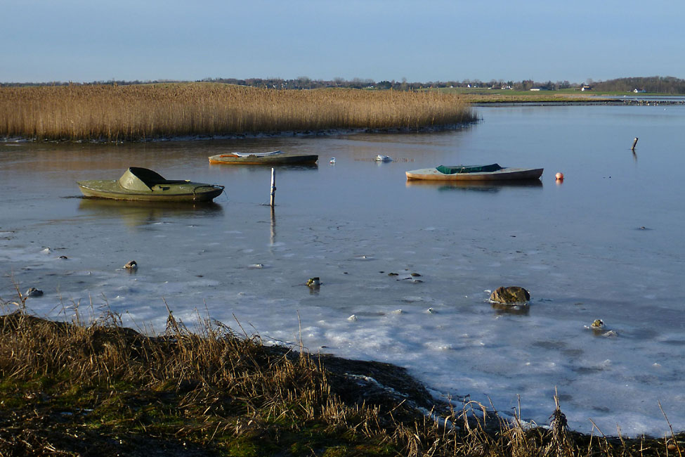Tempelkrogen