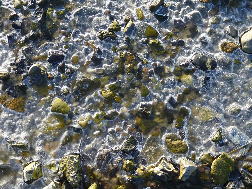 Tempelkrogen