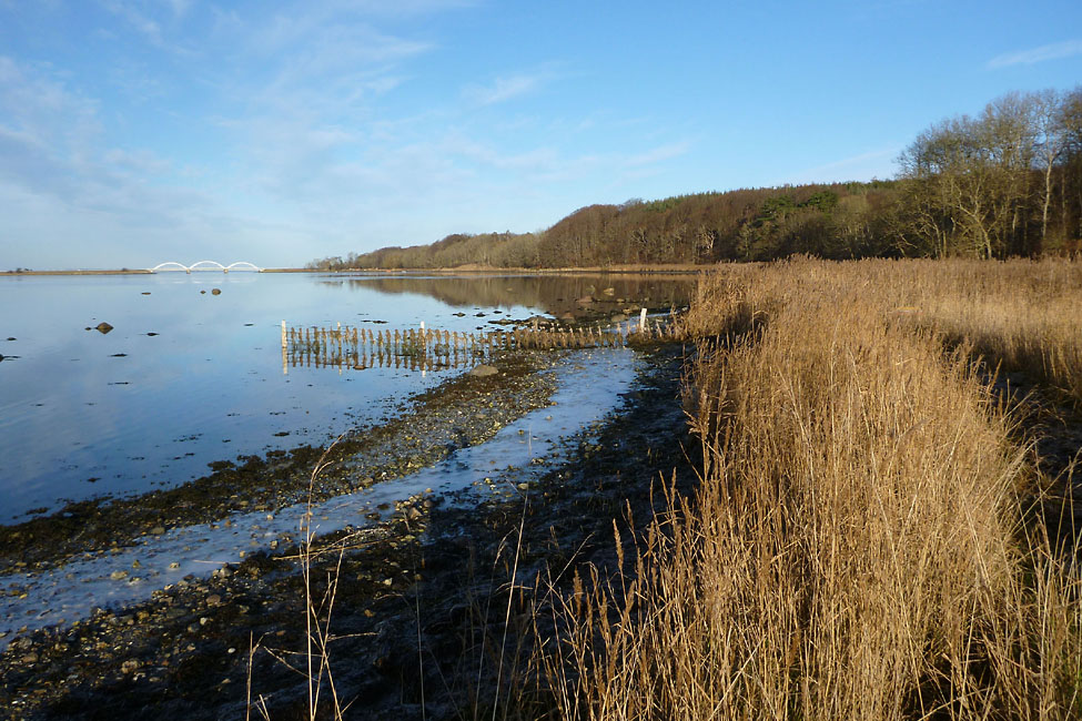 Tempelkrogen