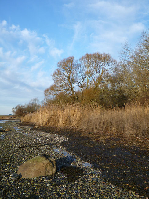 Tempelkrogen
