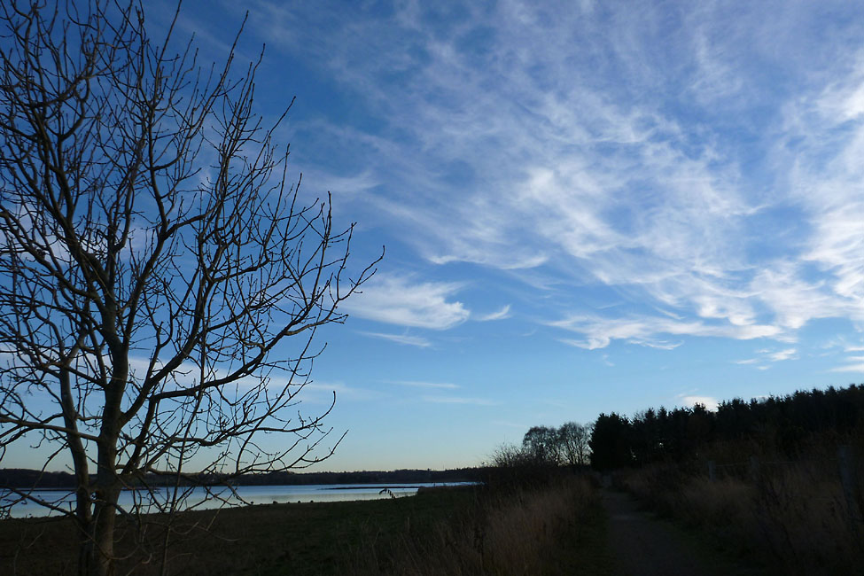 Tempelkrogen