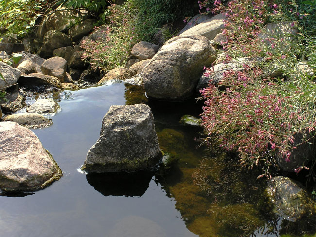 Botanisk Have, København