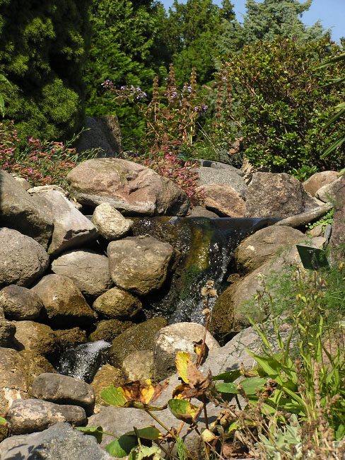 Botanisk Have, København