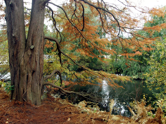 Botanisk Have, København