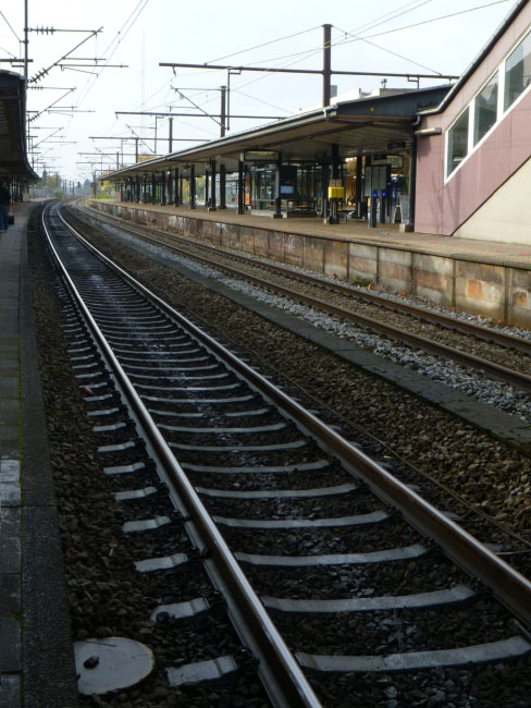 Fra Frederiksberg til Valby