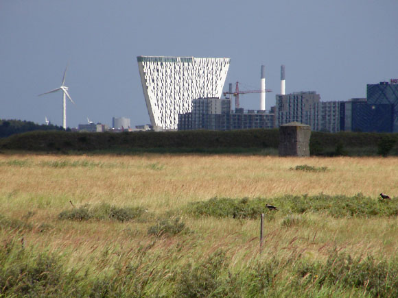 Københavns havn og kanaler