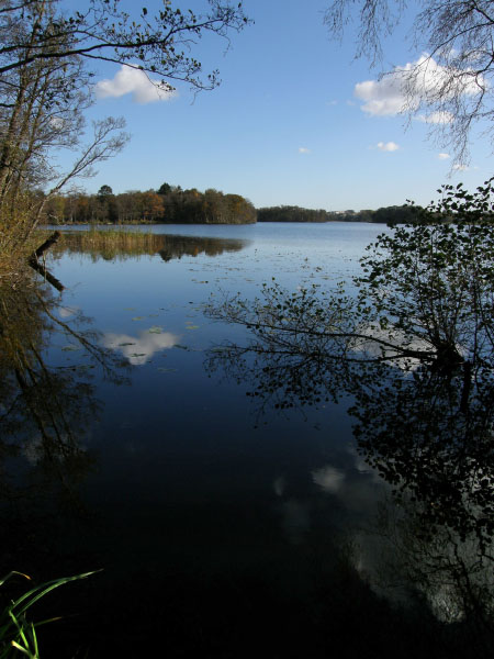 Kongens Lyngby