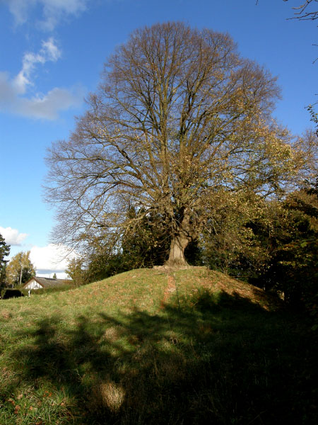 Kongens Lyngby