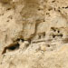 side 49