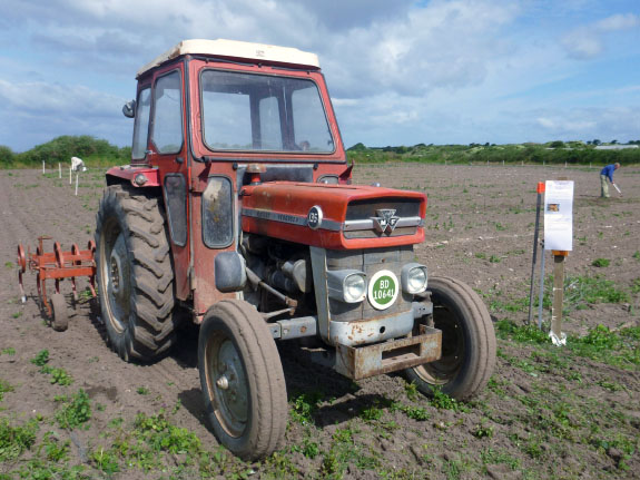 Ølejr på Lyø 2013