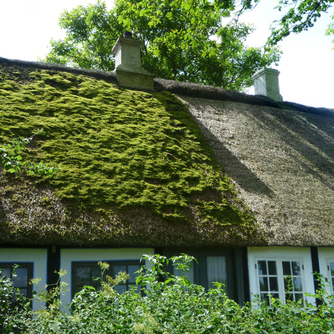 Ølejr på Lyø 2013