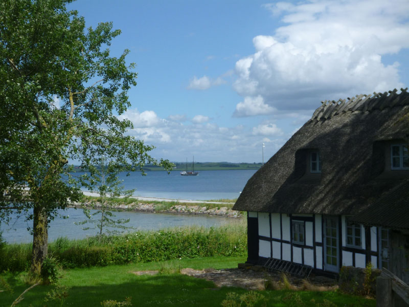 Ølejr på Lyø 2013