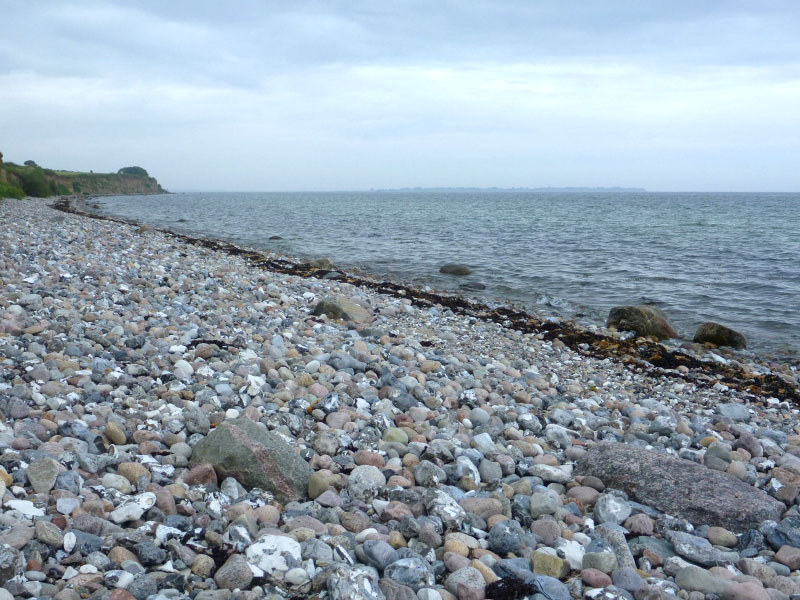 Ølejr på Lyø 2013
