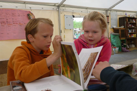 Ølejr på Lyø 2014