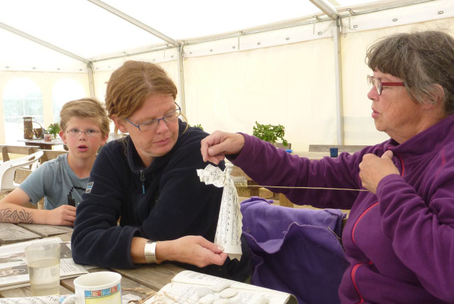Ølejr på Lyø 2014