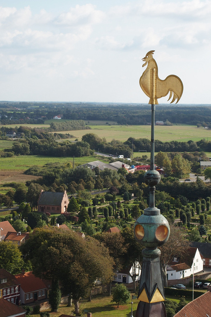 Ribe domkirke