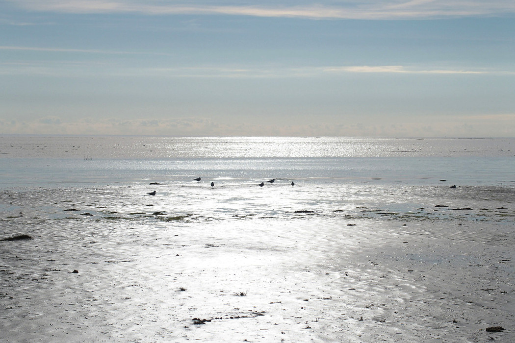 Fanø