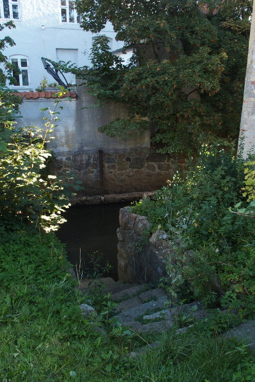Ribe