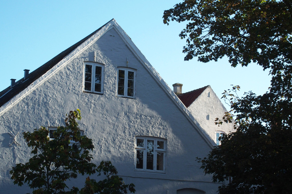 Ribe