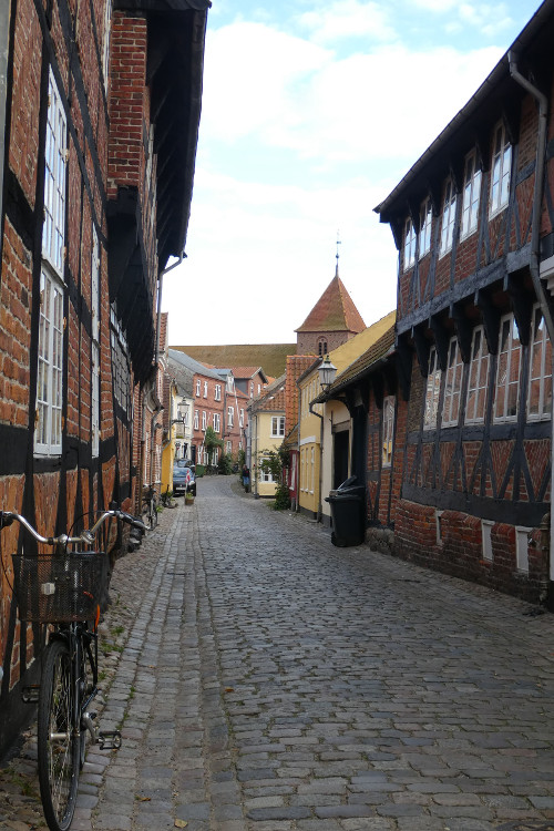 Ribe